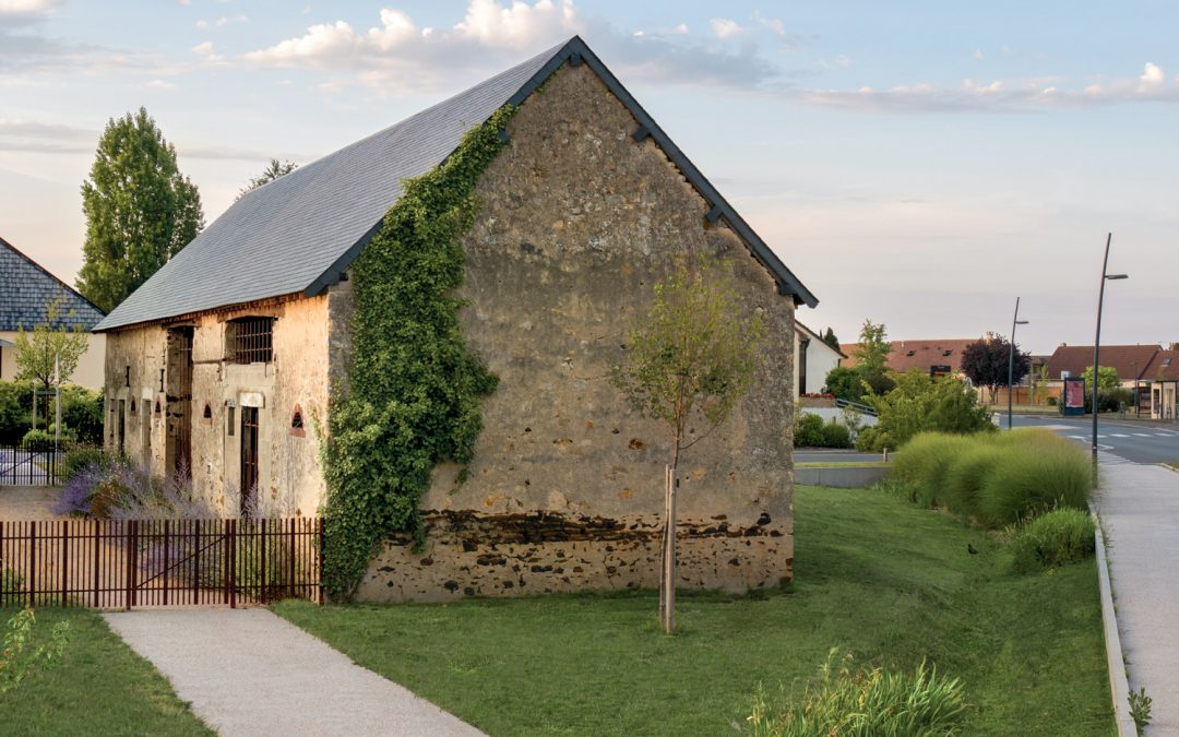 Place du 11 novembre, un arboretum urbain