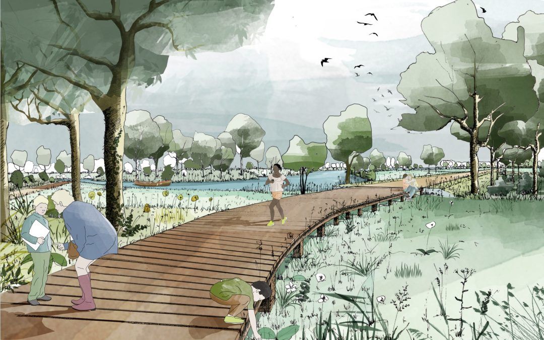 Renaturation des berges de l&rsquo;Yerres