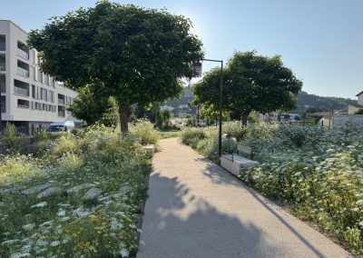 Parc public de Sainte Colombe