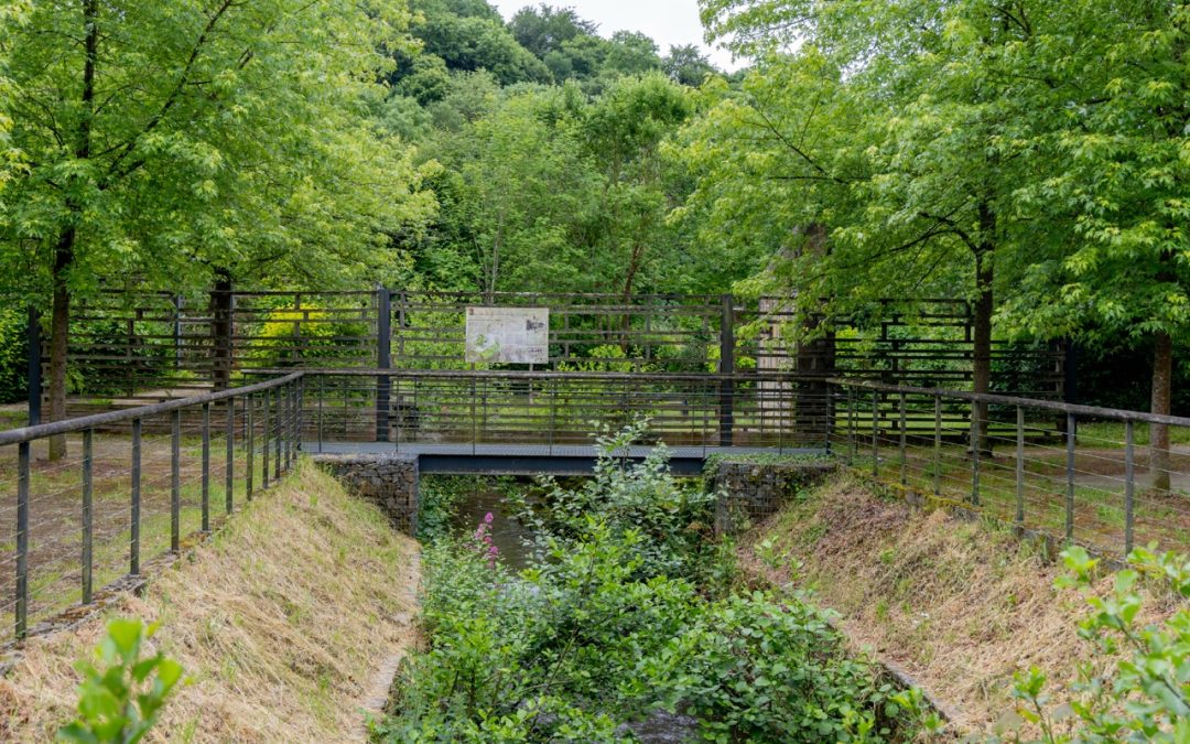Renaturation du cours d&rsquo;eau Le Beuvron