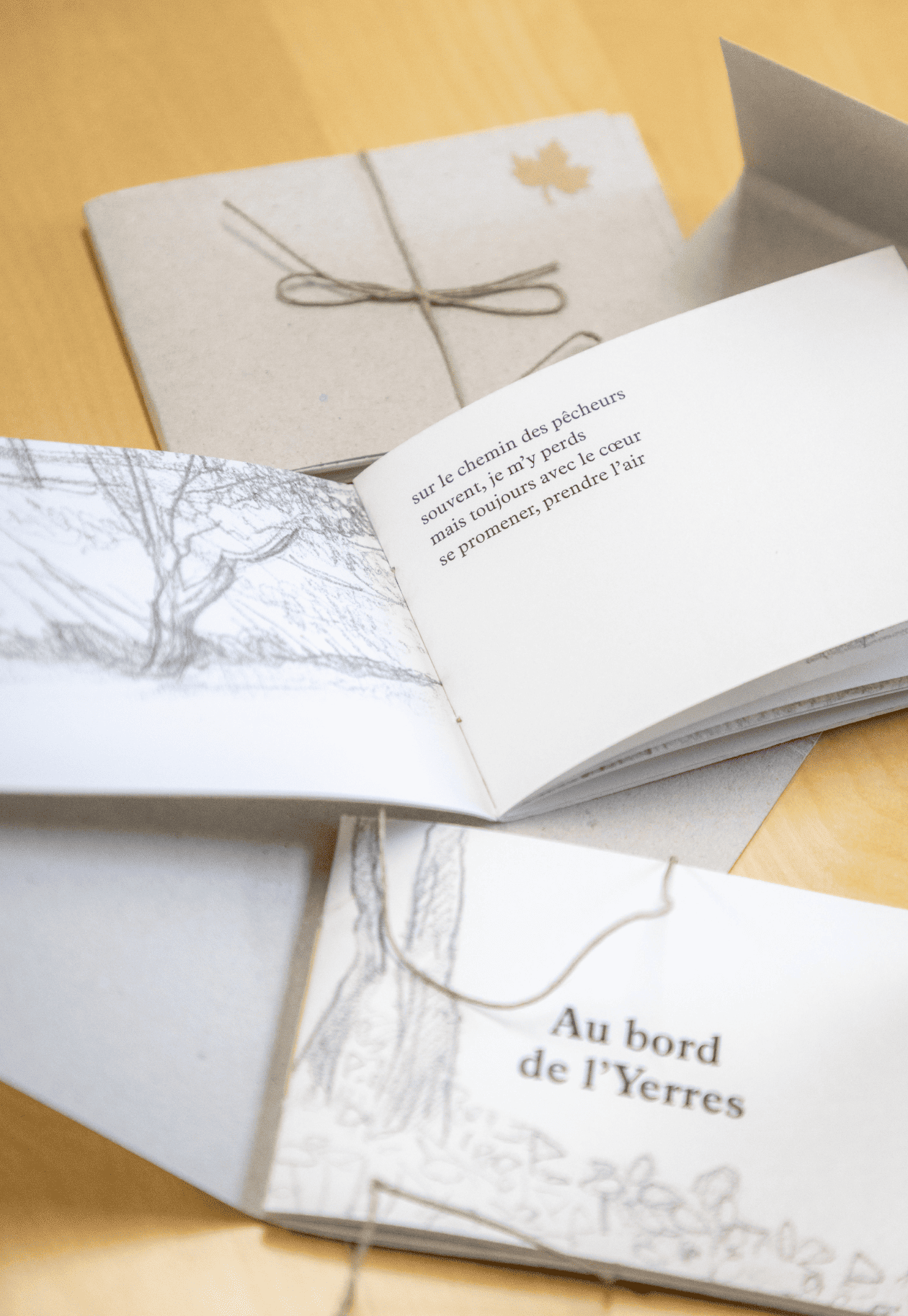 CHAMP LIBRE VSGY Carnets de visite 2